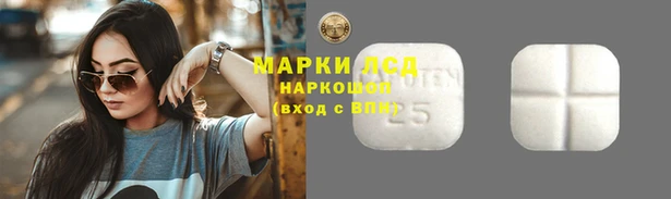 стафф Киреевск