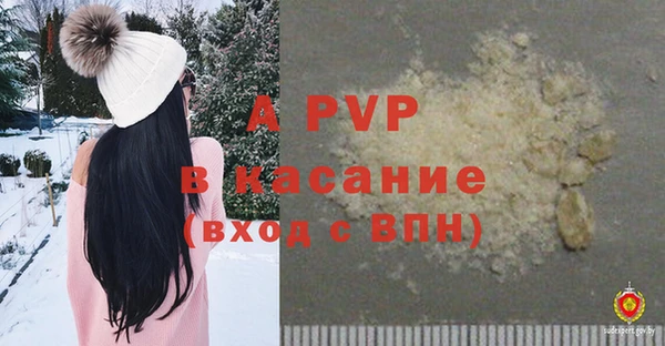 стафф Киреевск