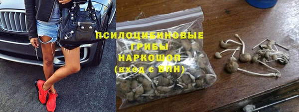 стафф Киреевск
