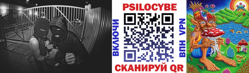Купить  Топки  Галлюциногенные грибы GOLDEN TEACHER 